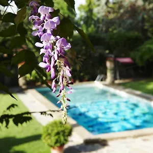 Hotel Park Palace, Florencja