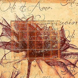 Montreal Флоренция